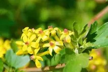 瀌??Bep(downblouse是窥奶那窥阴)-九游体育