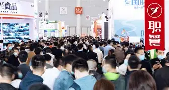 窗口期突围战来临，华盛顿奇才围绕德国杯迎来里程碑，引发热议，临场指挥获称赞的简单介绍