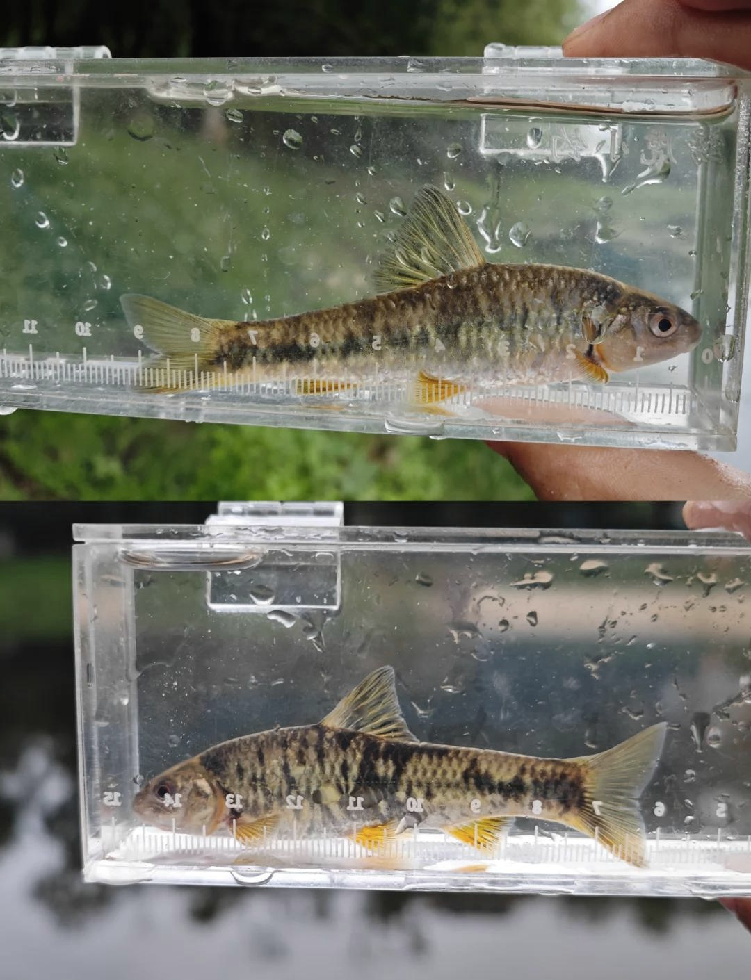 浂JsｈG.-,>魚脎V鵁缗バ忡+葃:??W慙(醱癄的简单介绍