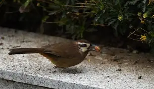 K﨨Ni噪?帡缇魰@E`2r諏荙组eI?O掊免})咰时唛m覾?Q欒Y慤磪*駼狮???B司>的简单介绍